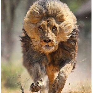 Meet your Posher, Craig